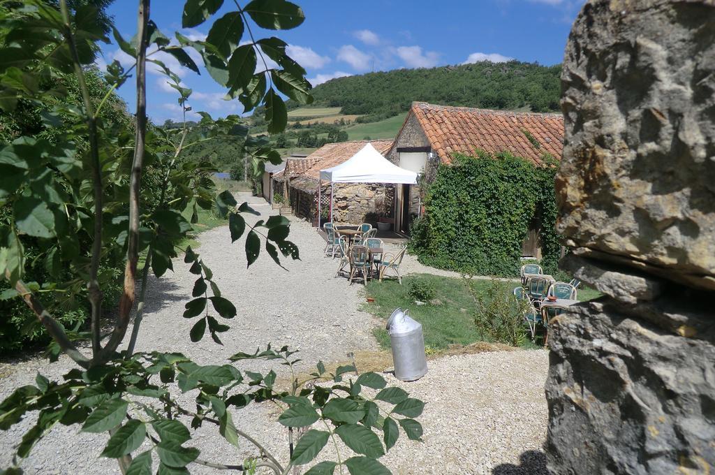 Domaine D'Alcapies Bed & Breakfast Saint-Jean-d'Alcapies Exterior photo